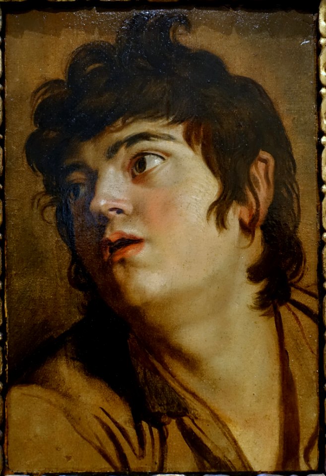 Head of a Young Man, by Peter Paul Rubens, 1601-1602, oil on paper, mounted on panel - Blanton Museum of Art - Austin, Texas - DSC07798