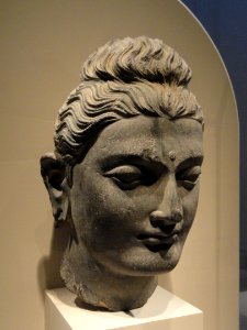 Head of the Buddha, Gandhara, 3rd century AD, schist - Arthur M. Sackler Gallery - DSC06041