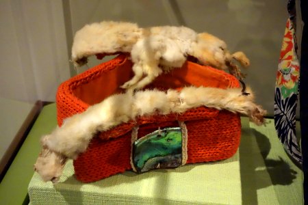 Headring, Kwakwaka'wakw, 1800s, string, abalone shell, ermine skin, cloth - Glenbow Museum - DSC00884