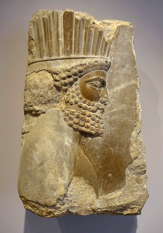 Head of an archer of the royal guard, 1 of 2, from the Palace of Xerxes, Achaemenid Persia, 486-465 BC, limestone - Sackler Museum - Harvard University - DSC01728