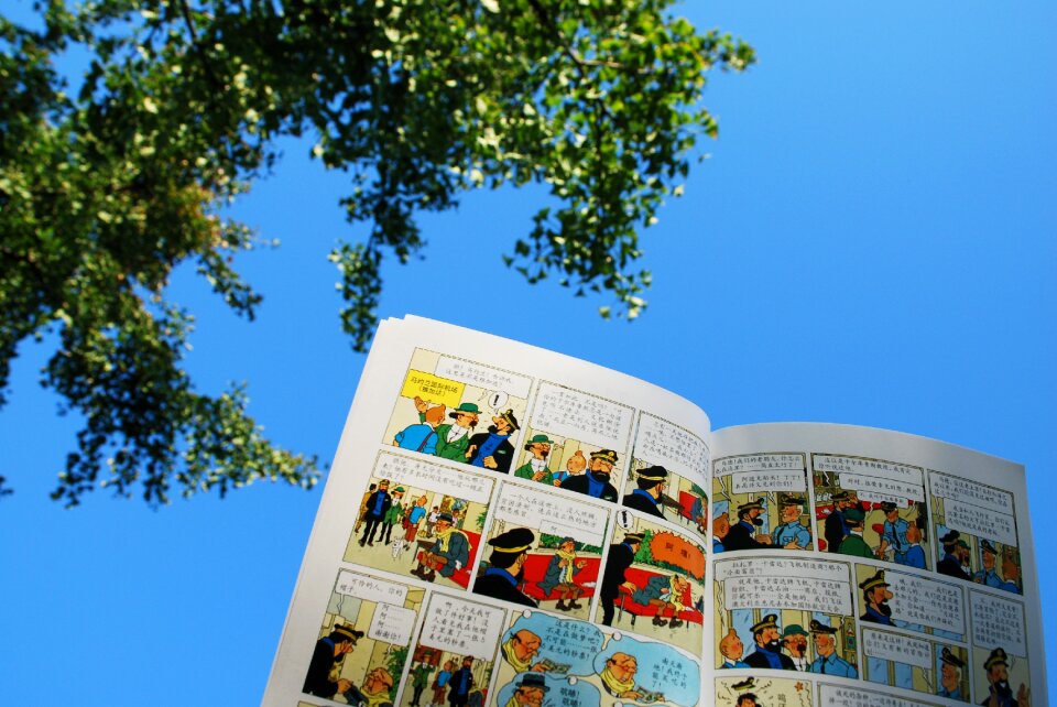 Sunshine read pleasure
