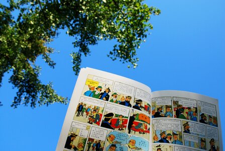 Sunshine read pleasure