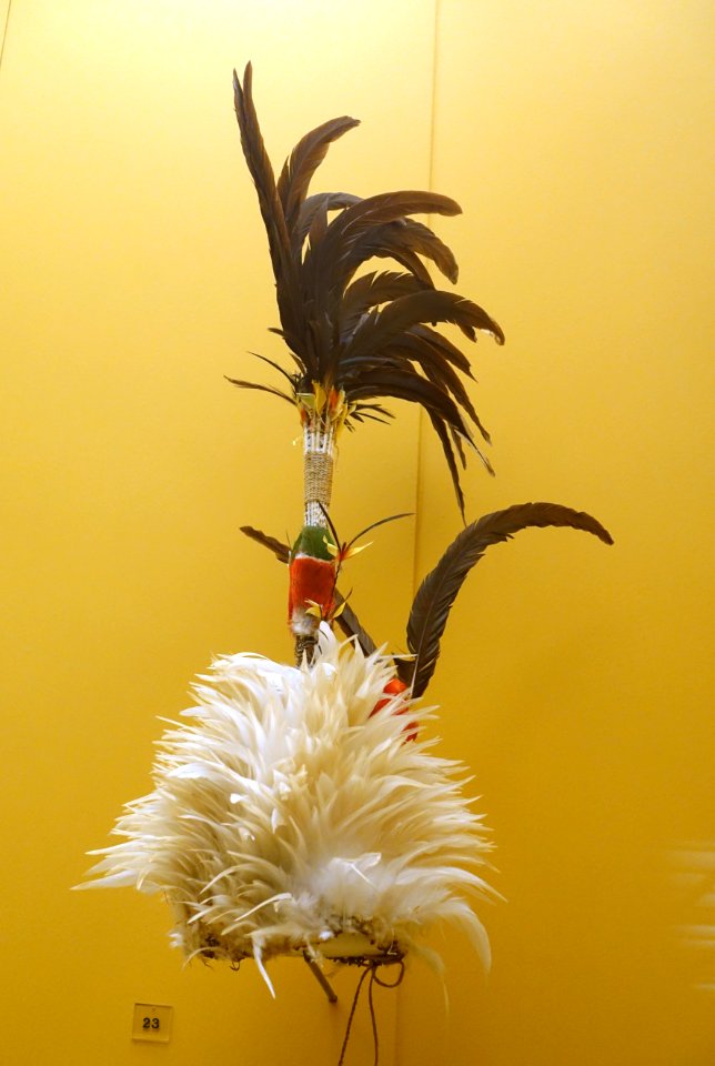 Head ornament, New Ireland, 1903 - Südseeabteilung - Ethnological Museum, Berlin - DSC00960