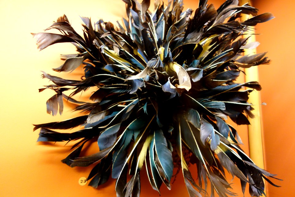 Headgear with feathers - Lwalu - Royal Museum for Central Africa - DSC06270
