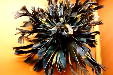 Headgear with feathers - Lwalu - Royal Museum for Central Africa - DSC06270