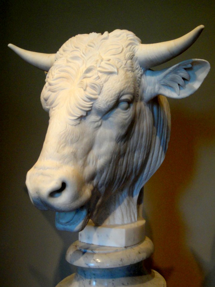 Head of a Bull by Gaetano Monti, 1824, marble - National Gallery of Art, Washington - DSC08693