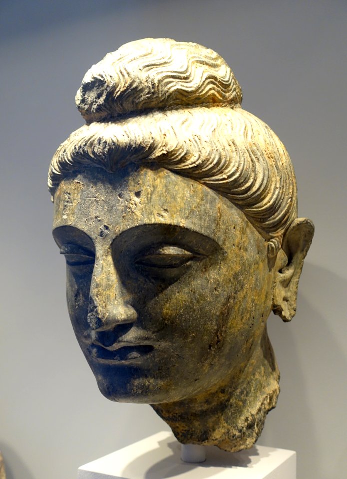 Head of a Buddha, Gandhara, Pakistan, Kushan period, 2nd century AD, schist - Arthur M. Sackler Museum, Harvard University - DSC00827