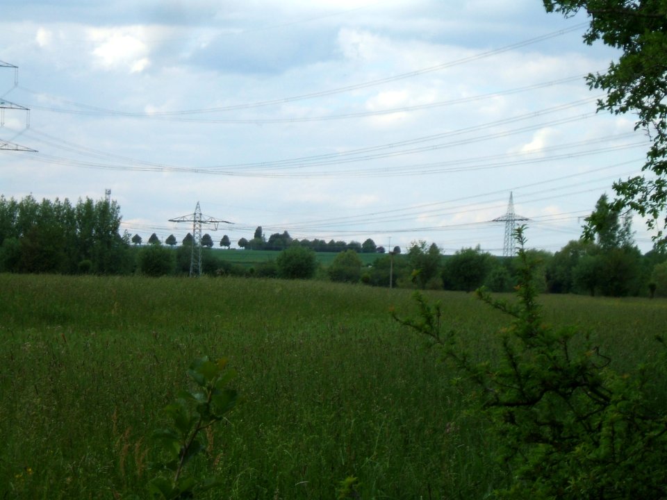 Hechtgraben Oberlauf