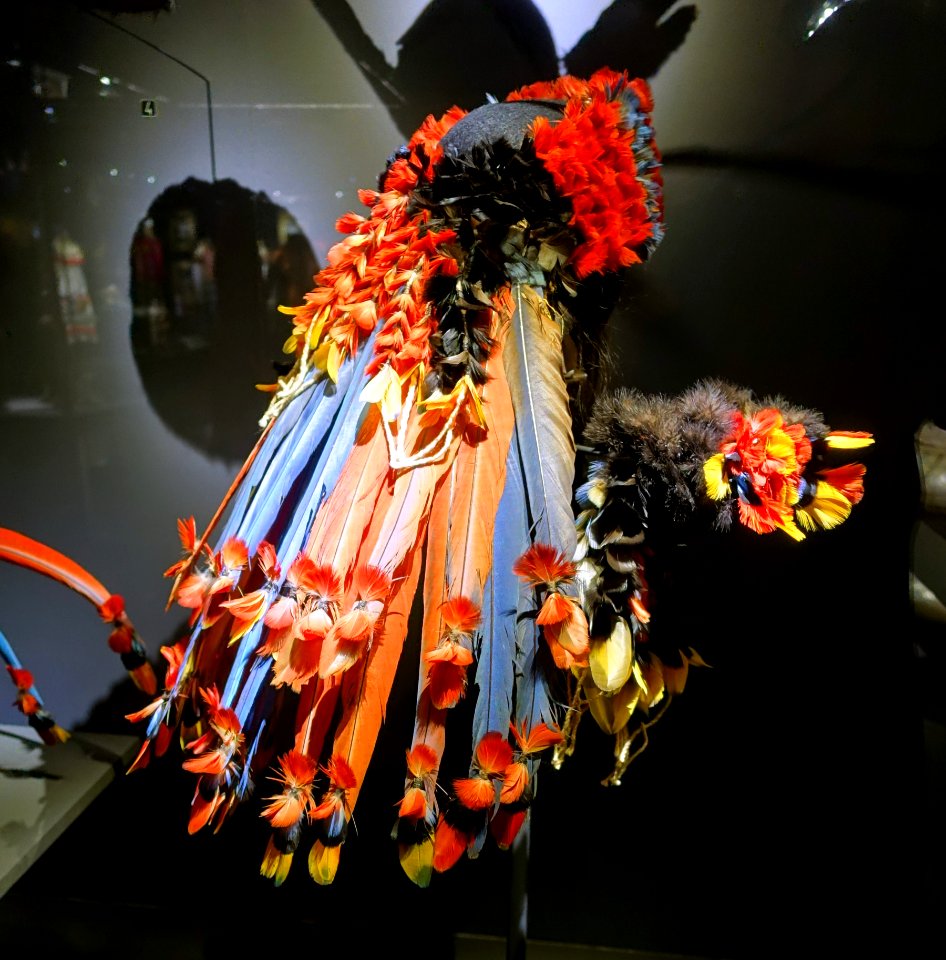 Headdress, Rikbaktsa culture, Brazil, Mato Grosso, 20th century, feathers, fur, cotton - Cinquantenaire Museum - Brussels, Belgium - DSC08972