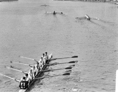Head of the River op de Amstel, de acht van Nereus worden kampioen, Bestanddeelnr 915-0676