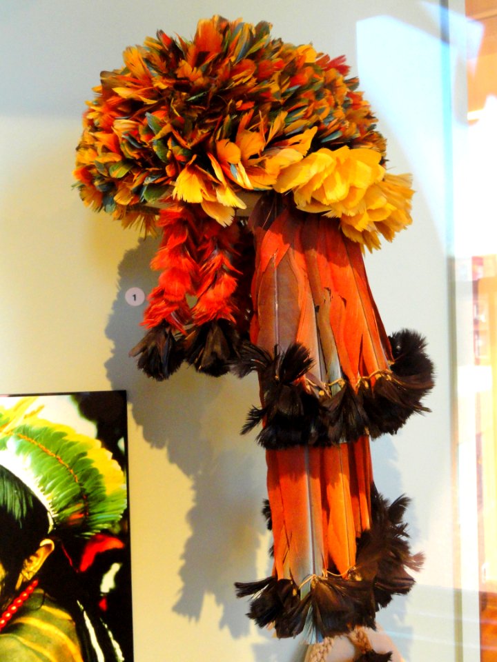 Headdress, Munduruku people, macaw and toucan feathers - South American collection - Peabody Museum, Harvard University - DSC05693