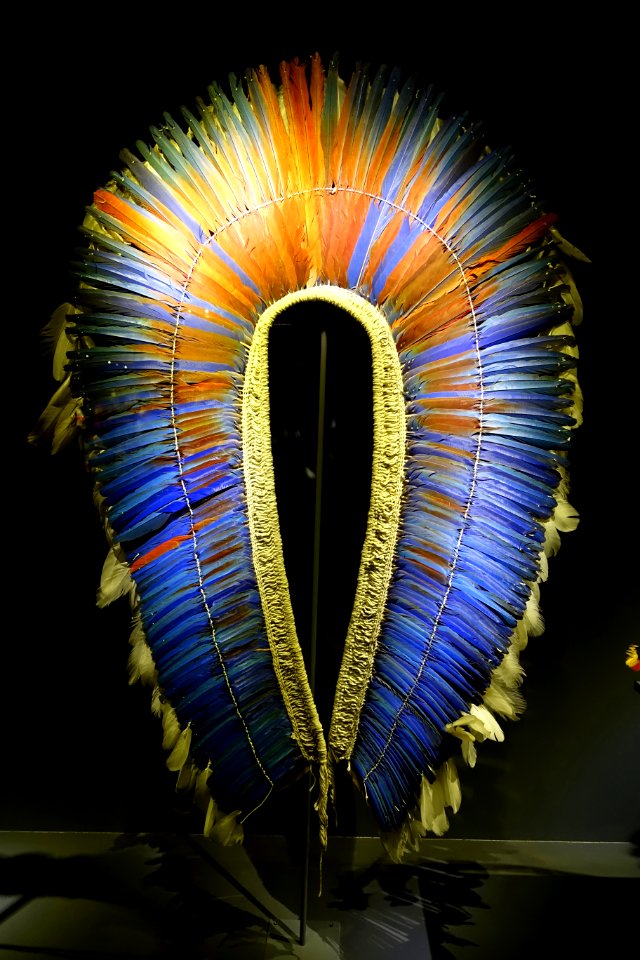 Headdress, Kayapo culture, Para or Mata Grosso, 20th century, feathers, vegetal fibers - Cinquantenaire Museum - Brussels, Belgium - DSC08977