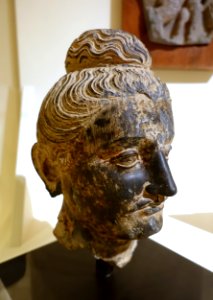 Head of a Buddha, Pakistan, Swat Valley, probably Zulam Kot, c. 3rd century AD, schist, traces of pigment - Jordan Schnitzer Museum of Art, University of Oregon - Eugene, Oregon - DSC09299