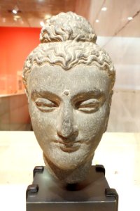 Head of Buddha, India, Gandhara, 2nd or 3rd century, gray schist - Berkeley Art Museum and Pacific Film Archive - DSC04145 photo