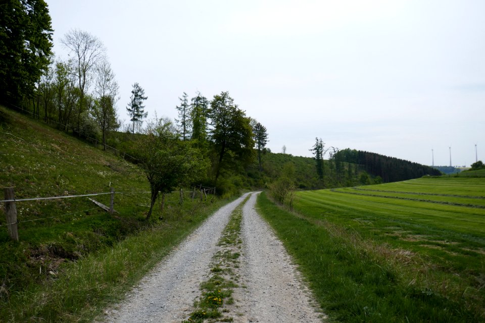 Hegensdorf - NSG Okental -01