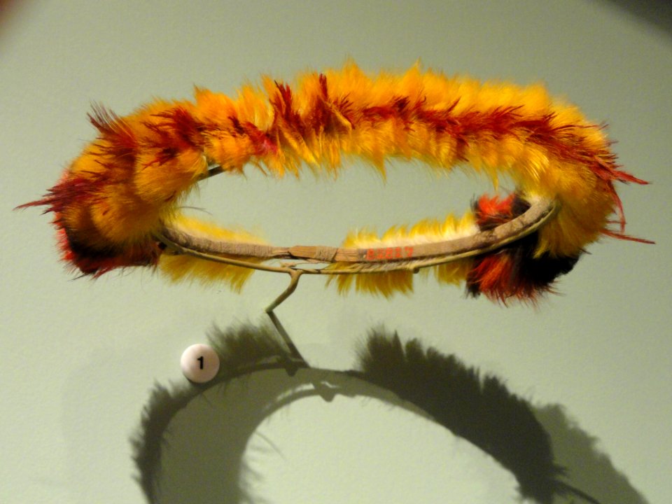 Headdress, Wai-wai people, toucan and macaw feathers - South American collection - Peabody Museum, Harvard University - DSC05678