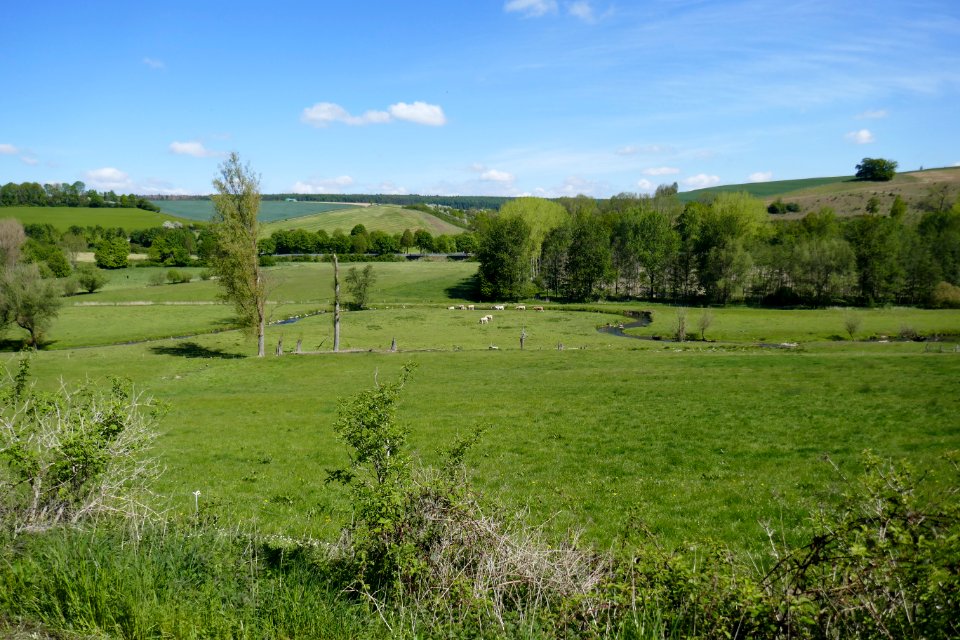 Hegensdorf - LSG FFH-Gebiet Alme und Afteaue