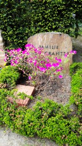 Heidefriedhof berlin mai2017 - 1
