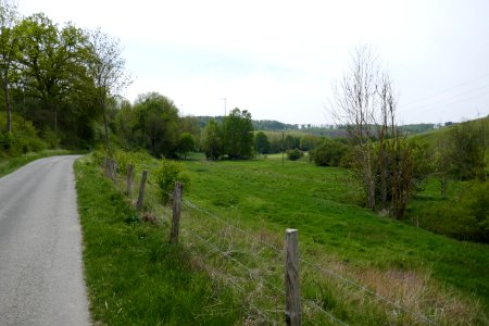 Hegensdorf - NSG Okental -08