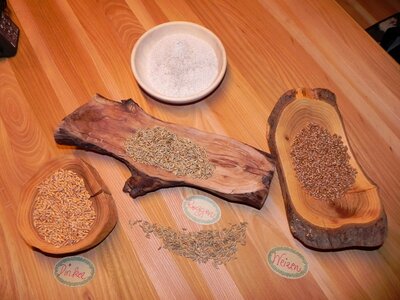 Grain grains spelt
