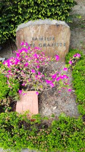 Heidefriedhof berlin mai2017 - 4