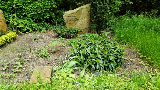 Heidefriedhof berlin mai2017 - 7