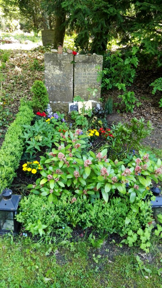 Heidefriedhof berlin mai2017 - 2