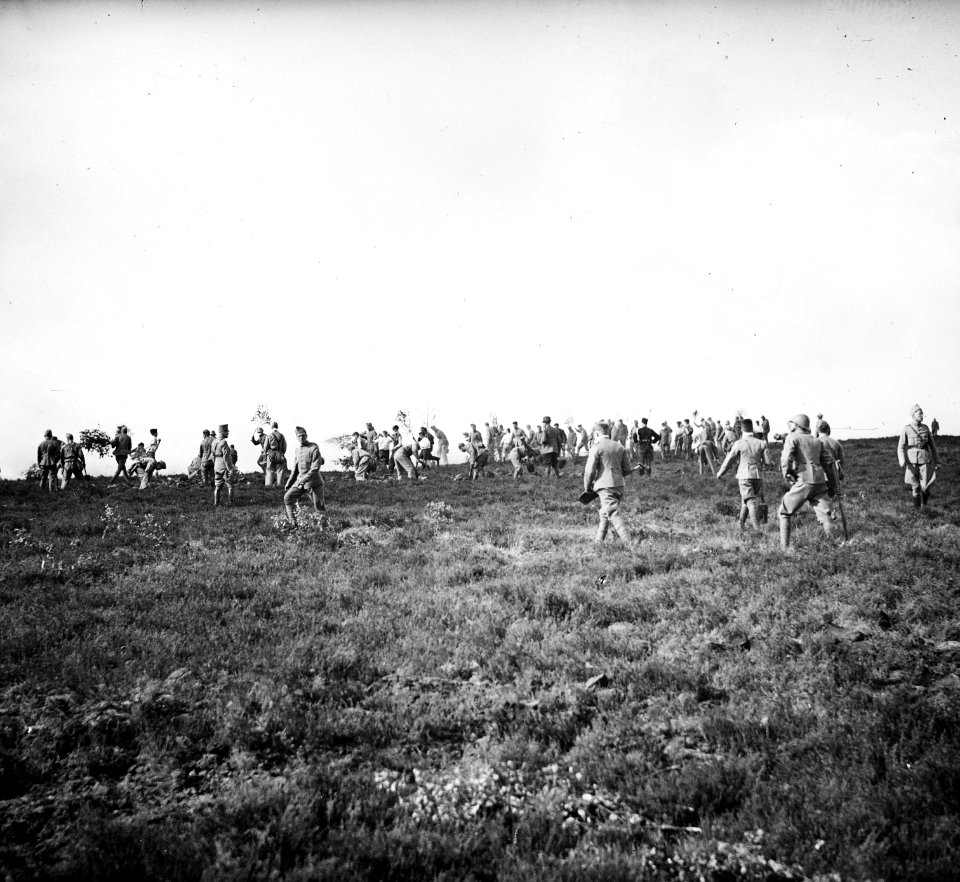 Heidebrand 31 mei 1939, Bestanddeelnr 194-0681