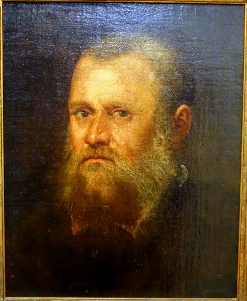Head of a Bearded Man, attributed to Marietta Tintoretto, c. 1580-1590, oil on canvas - University of Arizona Museum of Art - University of Arizona - Tucson, AZ - DSC08084