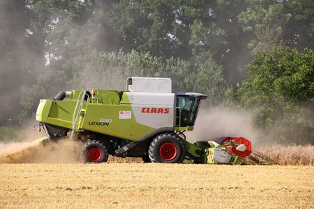 Wheat cornfield cereals