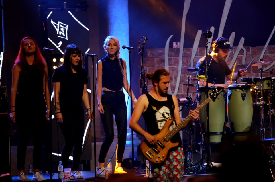 Heimatsound Festival 2016 - Seiler und Speer (10)