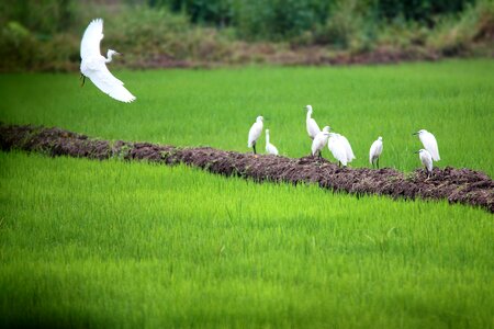 Ye tian country the scenery