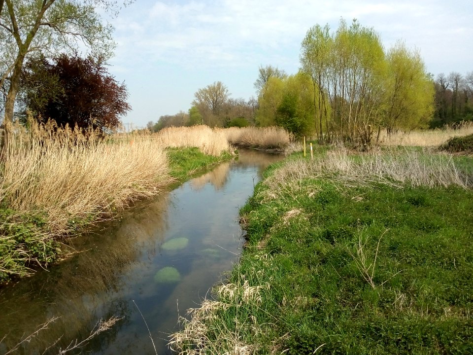 Heglach, nördlich von Blankenloch (2)