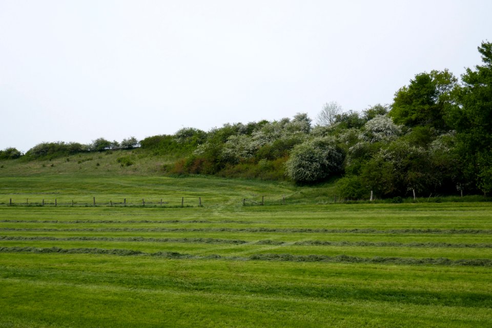 Hegensdorf - NSG Okental -03