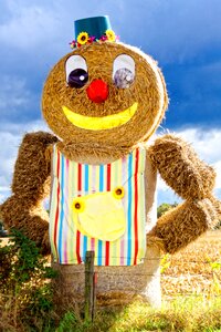 Straw agriculture straw role