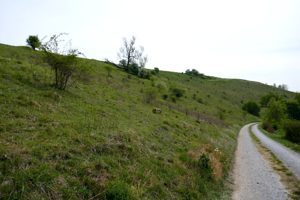 Hegensdorf - NSG Okental -07