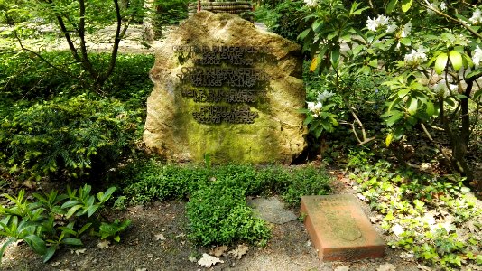 Heidefriedhof berlin mai2017 - 5