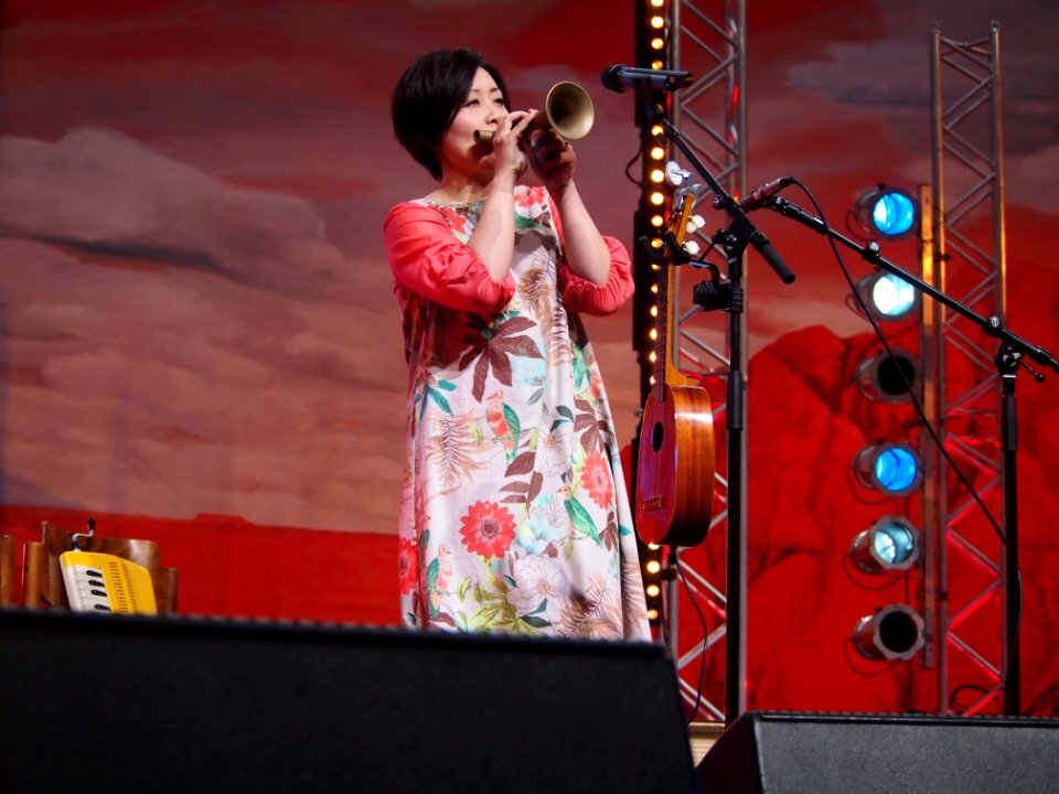 Heimatsound-Festival 2014 Coconami (14)