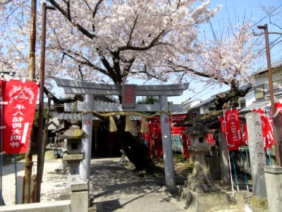 Heihachi-Inari-Jinja-1