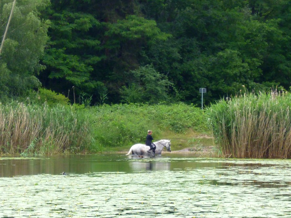 Heidesee Halle von Osten 2