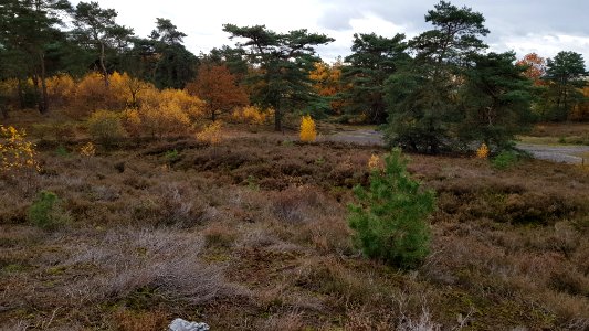 Heerlen-Landgraaf Brunssummerheide (9)