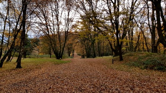 Heerlen-Landgraaf Brunssummerheide (5)