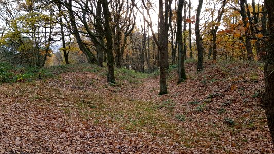 Heerlen-Landgraaf Brunssummerheide (1)