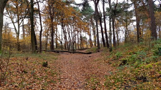 Heerlen-Landgraaf Brunssummerheide (8)