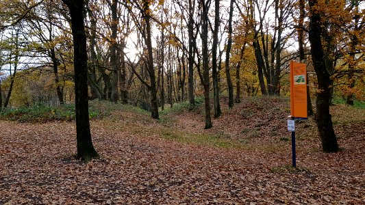 Heerlen-Landgraaf Brunssummerheide (2)