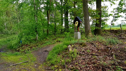Heijenrath-wegkruis Bovenste Bosch langs grens (3)