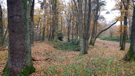 Heerlen-Landgraaf Brunssummerheide (6)