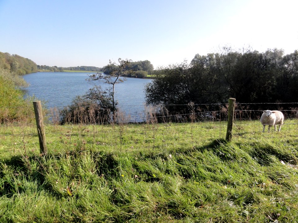 Heijen (Gennep) Zuidereiland, Oude Maasarm met afsluitende dijk