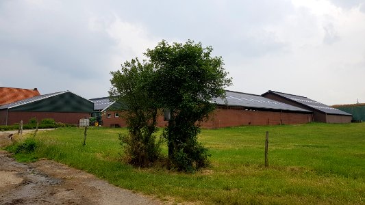 Heijenrath-Mariabeeldje Grote Bosweg-Heiwegje (5)