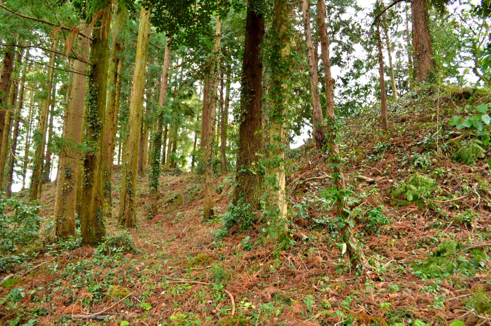 Hei-jinja Kofun funkyu